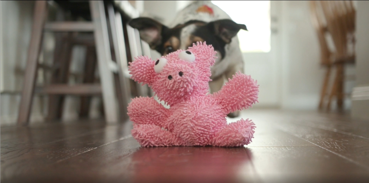 Amazon.com: MIGHTY- Microfiber Ball - Farm – Made with Squeaker